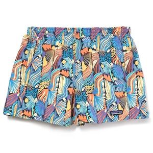 Patagonia Multicolor Baggies Shorts